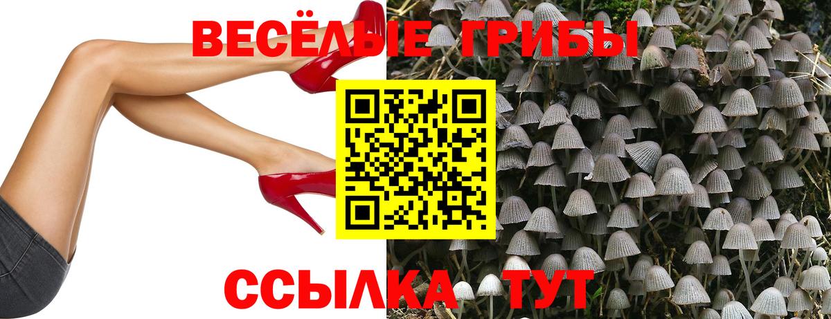 Галлюциногенные грибы GOLDEN TEACHER  Вход с VPN  Отрадное  Галлюциногенные грибы Magic Shrooms 