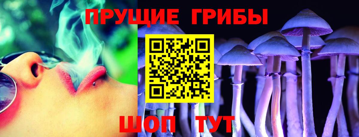 Галлюциногенные грибы мицелий Отрадное
